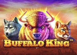 Buffalo King Casino Slot  Haz Casino Online Canada