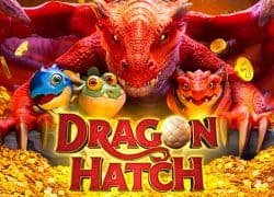 Dragon Hatch Casino Game  Haz Casino Online Canada