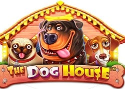Dog House Casino Game  Haz Casino Online Canada